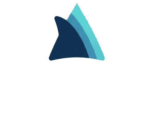 Northfin Studio